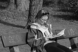 女子,讀取,公園