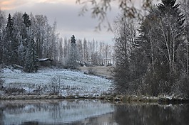 冬天,景觀,雪
