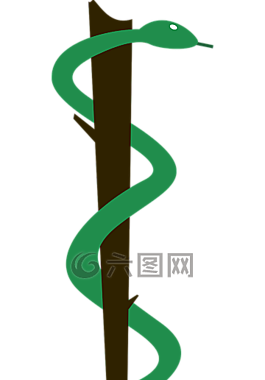 巴西,醫(yī)藥,符號(hào)