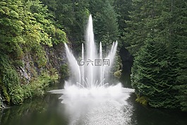寶翠,花園,植物園