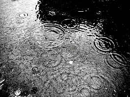 滴,雨,湿