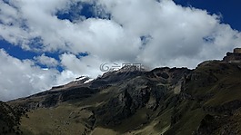 植物,景觀(guān),旅行