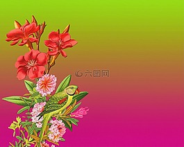 鮮花,圖稿,藝術(shù)