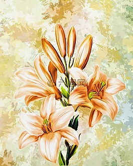 鮮花,圖稿,藝術(shù)