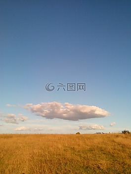 俄語,字段,俄羅斯