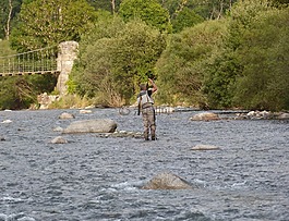漁夫,運(yùn)動(dòng),捕魚