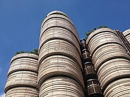 新加坡,建设,大学