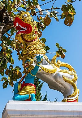 神秘生物,獅子,寺復(fù)雜