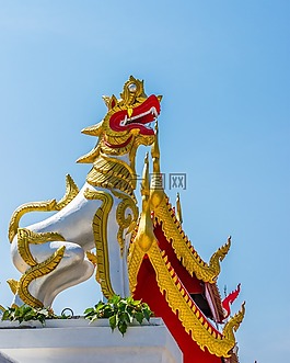 神秘生物,獅子,寺復(fù)雜