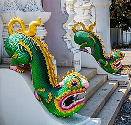 神秘生物,寺復(fù)雜,廟