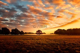 英格蘭,英國,日出
