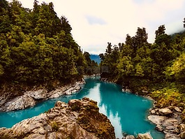 新西蘭,河,溪
