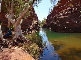 karijini 國家公園,澳大利亞,仙境