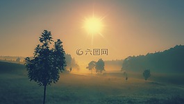 大自然,霧,陰霾
