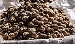 核桃,堅果,食品