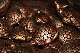 烏龜,棕色,金屬