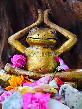 青蛙,瑜伽,鲜花
