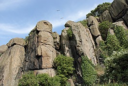 懸崖,山,大自然