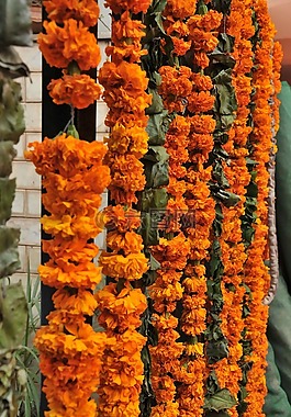 鮮花,花環(huán),裝修