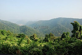 泰國,雨林,熱帶地區(qū)