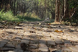 鵝卵石,通路,地面