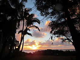 夏威夷,海洋,日出