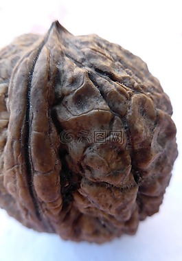 核桃,堅果,殼