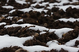 地球,雪,布朗