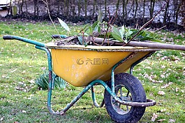 花園,獨(dú)輪車,春天