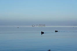 鴨,基姆湖,心情