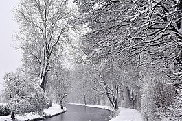 冬天,雪,冷