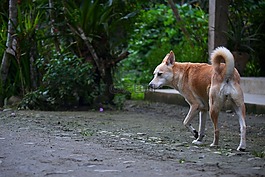 性質(zhì),戶外活動(dòng),婊子