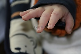 嬰兒,手,手指