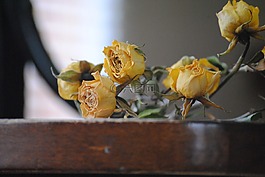 玫瑰,死亡,花