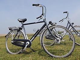 自行車,運動,運輸