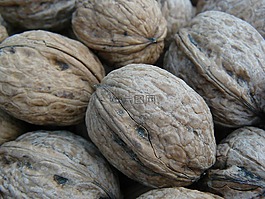 秋季,核桃,殼