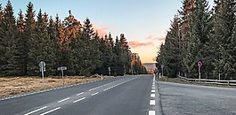 樹脂,離,路