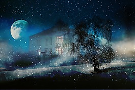 夜,冬天,雪