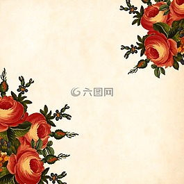 花,背景,釀酒