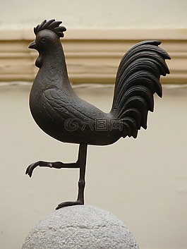 哈恩,動(dòng)物,鳥