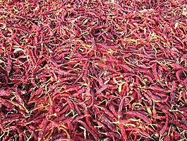紅辣椒,香料,辣