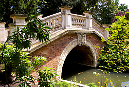 橋,公園,水