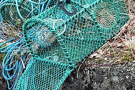 筒子架,釣魚,陷阱