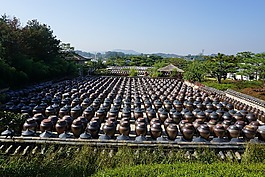 jar,組織,秋季
