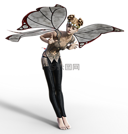 费,小精灵,翼