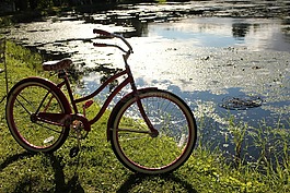 kutshers,自行車,日落