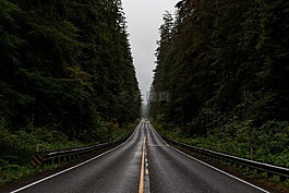瀝青,公路,景觀