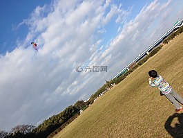 風箏 風箏風箏,風箏,草坪