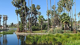 回音公园,洛杉矶,湖