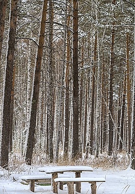 冬季,板凳,雪